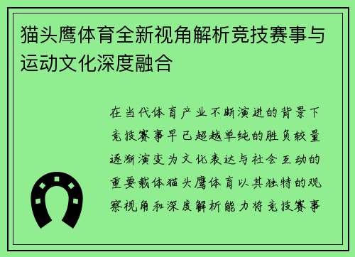 猫头鹰体育全新视角解析竞技赛事与运动文化深度融合
